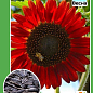 Подсолнух "Красное солнышко" ТМ "Весна" 0.5г