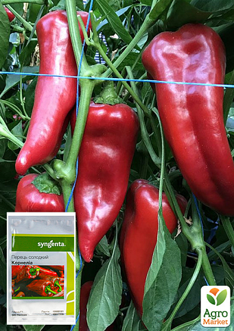 Перець "Корнеліа F1" ТМ "Syngenta" 500шт