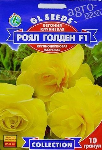 Бегонія бульбова "Роял голден F1" ТМ "GL Seeds" 10шт