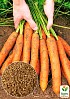 Морковь "Артек" (Большой пакет) ТМ "Весна" 4г