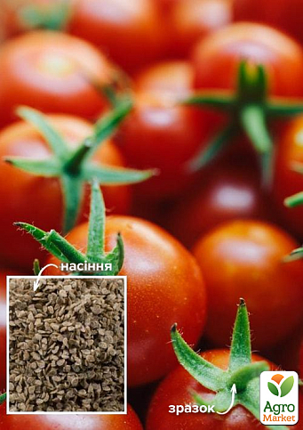На развес Томат "Красная карамель" ТМ "Весна" цена за 1г