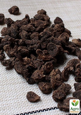 Анемона "Blanda Charmer" (размер 5/7 крупный) 5шт в упаковке - фото 2