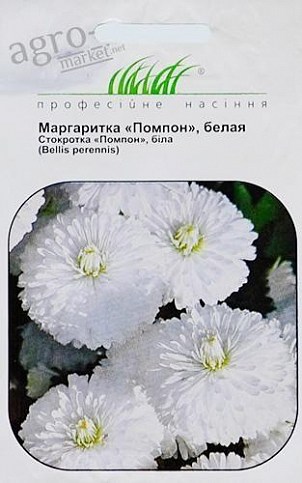 Маргаритка "Помпон белая" ТМ "Hem Zaden" 0.01г