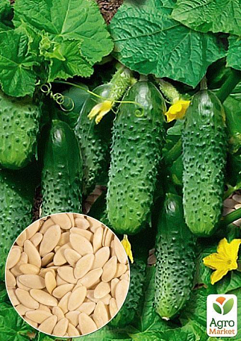 На вагу Огірок "Закуска" ТМ "Весна" ціна за 2г