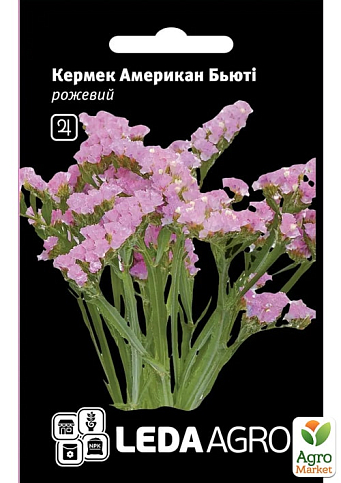 Кермек (статиця) "Американ бьюті" ТМ "Leda Agro" 0,15г