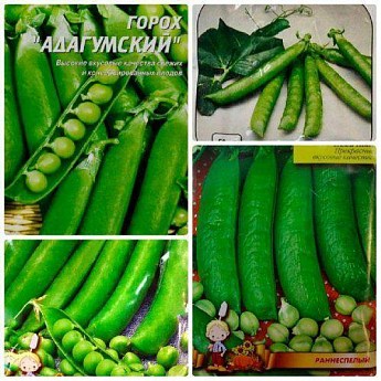 Комплект семян гороха "Мечта дачника" 5уп