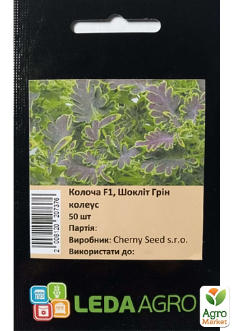 Колеус "Колоча Шокліт грін" ТМ "Leda Agro" 50шт