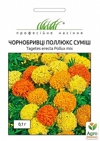 Бархатцы "Поллюкс" смесь ТМ "Hem Zaden" 0,1г
