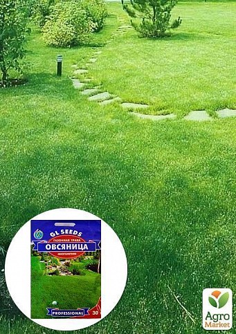 Газонная трава "Овсяница" ТМ "GL SEEDS" 30г