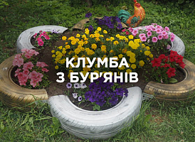 Квітник із бур’янів | Agro-market