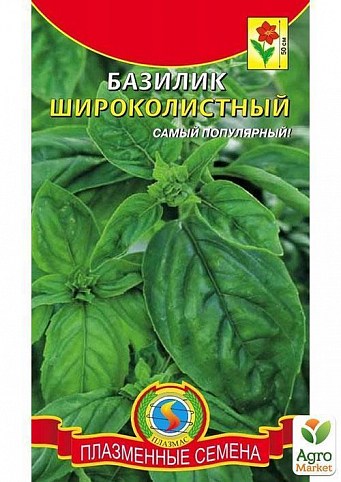 Базилик "Широколистный" ТМ "Плазменные семена" 0,5г
