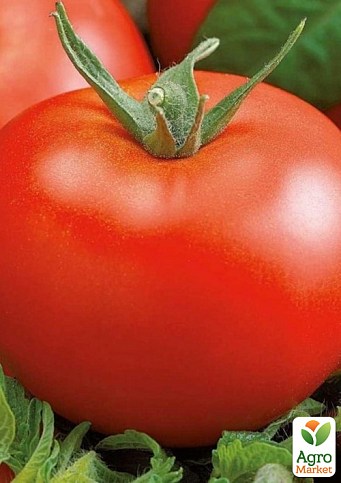 Томат "Щедрый кум" ТМ "Vesna Select" 0.2г