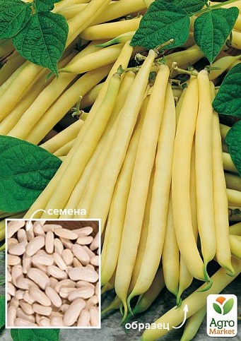 Квасоля "Лаура" ТМ "Весна" 100г