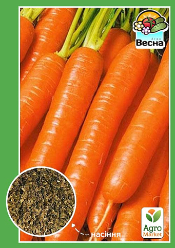 Морковь "Витаминная-6" ТМ "Весна" 2г