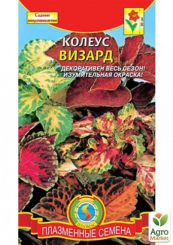 Колеус "Візард" суміш ТМ "Плазмові насіння" 10шт