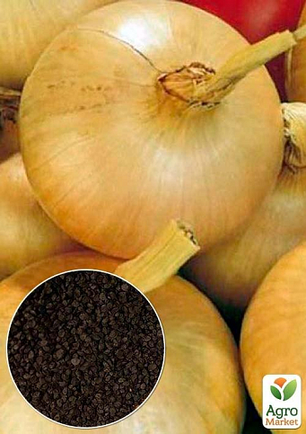 На развес Лук "Золотничок" ТМ "Весна" цена за 5г