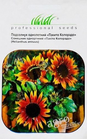 Подсолнечник "Пакито колорадо" ТМ "Hem Zaden" 1г