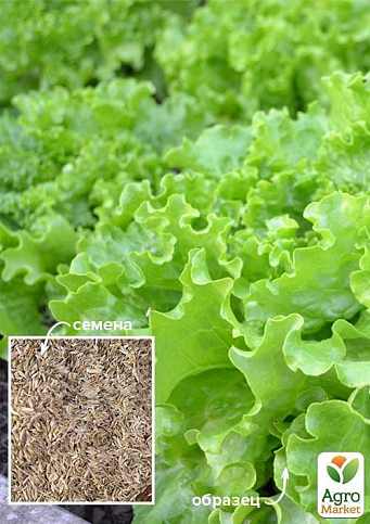 На развес Салат "Геркулес" ТМ "Весна" цена за 8г