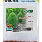 Кохія (Зипер) ТМ "Весна" 1г купить