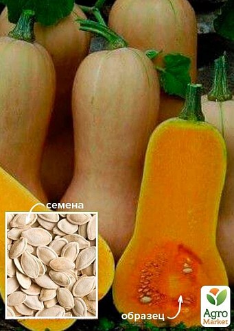 Гарбуз "Арахісове масло" ТМ "Весна" 500г
