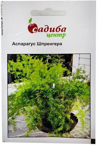 Аспарагус "Шпренгера" ТМ "Садиба центр" 0.3г