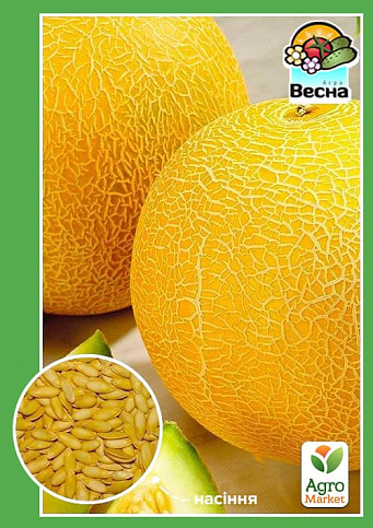 Дыня "Дубивка" ТМ "Весна" 1.5г