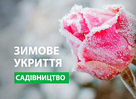 Короба для укриття рослин - корисні статті про садівництво від Agro-Market