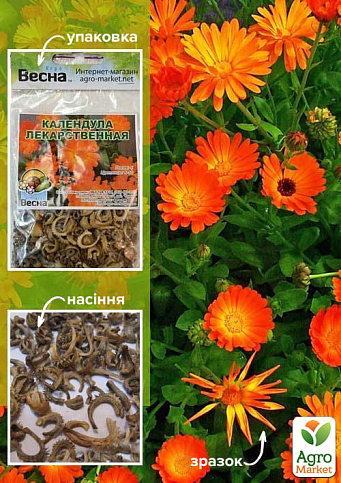 Календула "Лекарственная" (Зипер) ТМ "Весна" 5г