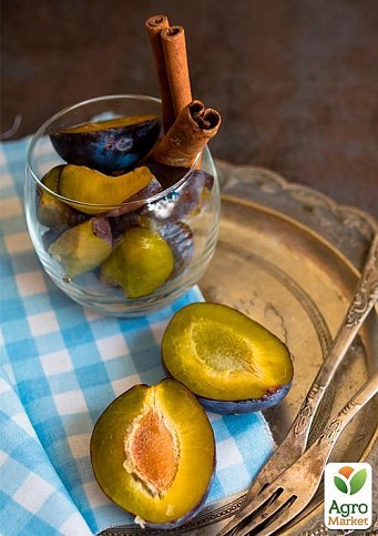 Слива "Стенлей" (осенний сорт, поздний срок созревания) - фото 3