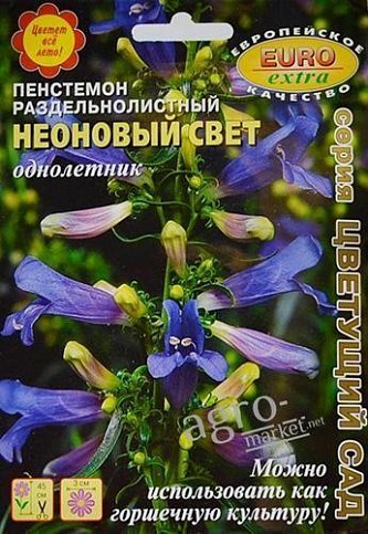 Пенстемон раздельнолистный "Неоновый свет" ТМ "Аэлита" 5шт