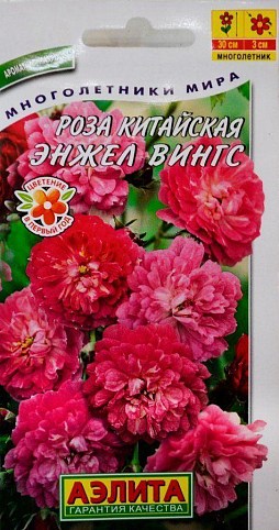 Роза китайська "Енжел Вінгс" ТМ "Аеліта" 10шт