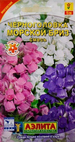 Черноголовка "Морской бриз" ТМ "Аэлита" 0.05г