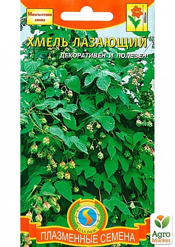 Хмель лазающий ТМ "Плазменные семена" 4шт NEW