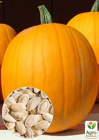 На развес Тыква "Фрацузский деликатес" ТМ "Весна" цена за 10г