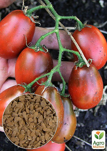 На развес Томат "Шоколадный зайчик" ТМ "Весна" цена за 1г