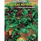 Базилик "Тайская королева" ТМ "Плазменные семена"0,5г