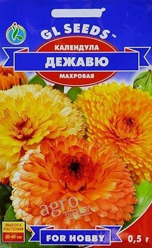Календула "Дежавю" ТМ "GL SEEDS" 0.5г