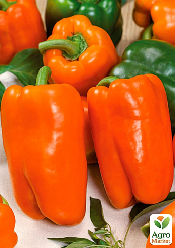 Перец "Ревия" ТМ "Vesna Exclusive"10шт - фото 3