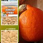 Тыква "Золотая груша" (Зипер) ТМ "Весна" 6г