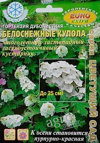 Гортензия дуболистная " Белоснежные купола" ТМ "Аэлита" 0.005г