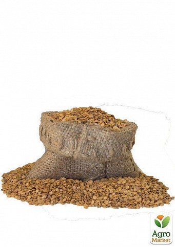 На развес Баклажан "Ультраранний" ТМ "Весна" цена за 2г - фото 4