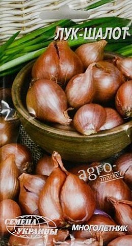 Лук "Шалот" ТМ "Семена Украины" 0.5г