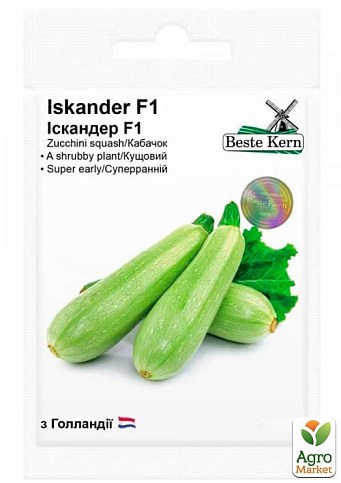 Кабачок "Искандер F1" ТМ "Beste Kern" 5шт