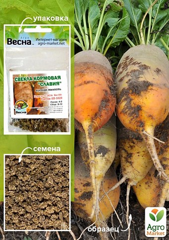 Свекла кормовая "Славия" (Зипер) ТМ "Весна" 10г