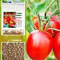 Томат "Болгарская сливка" (Зипер) ТМ "Весна" 1г