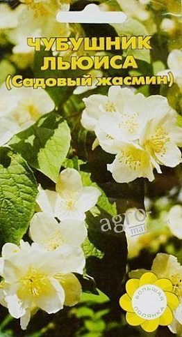 Чубушник льюиса (Садовый жасмин) ТМ "Большая полянка" 0.1г