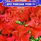 Петунія "Дуо райська троянда F1" ТМ "GL SEEDS" 10шт