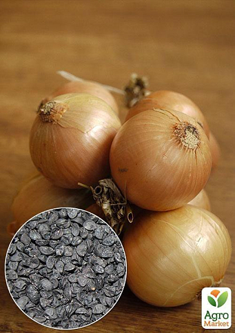 На вагу Цибуля "Глобус" ТМ "Весна" ціна за 5г