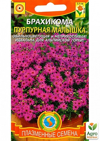 Брахикома "Пурпурная малышка" ТМ "Плазменные семена" 0,05г NEW