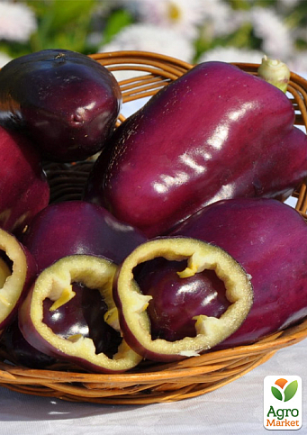 Перець "Фіолетовий красень" ТМ "Vesna Select" 20шт